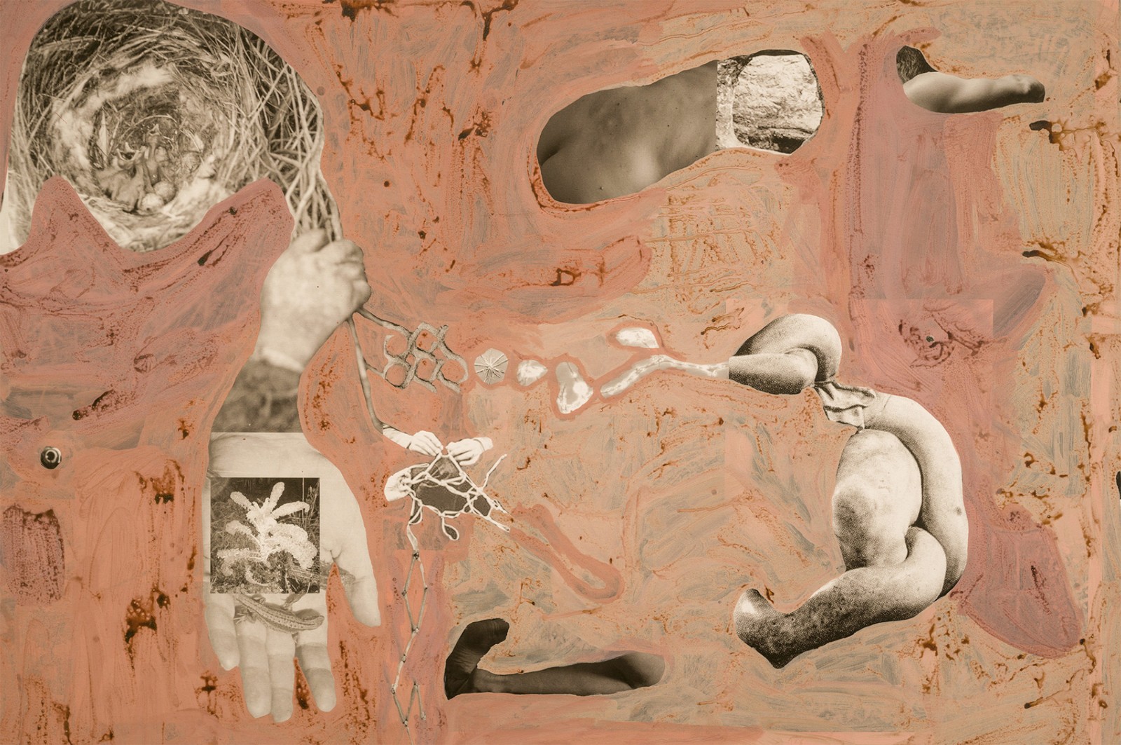 圖十二、《地勢 (關(guān)于時間，關(guān)于身體)》 (細節(jié)圖)，O?zlem Alt?n，2019